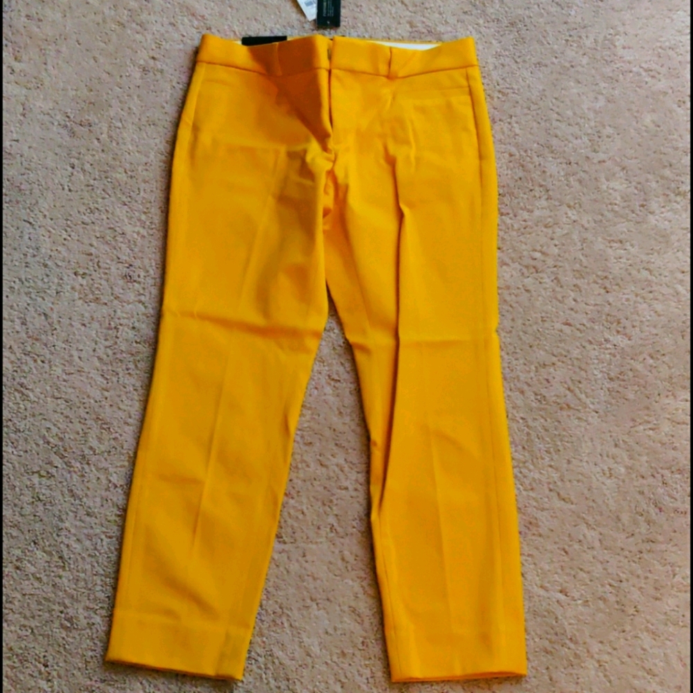 Dress pants